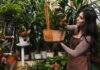 Gardening Trends: A Fresh Take on Outdoor Spaces in 2024