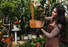 Gardening Trends: A Fresh Take on Outdoor Spaces in 2024