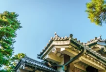 The Blue Revolution: China’s Initiative to Paint Roofs Blue The Blue Revolution: