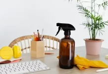 Top 5 Eco-Friendly Cleaning Products for Your Home